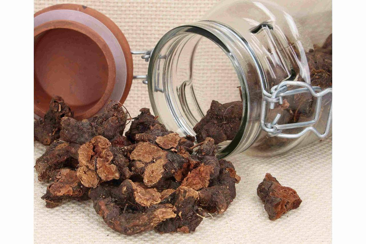 

Калган корень лапчатка прямостоячая