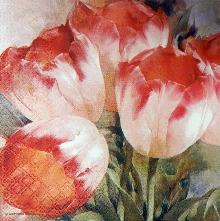 

Салфетка для декупажа ЦЛ-92 (33х33см)