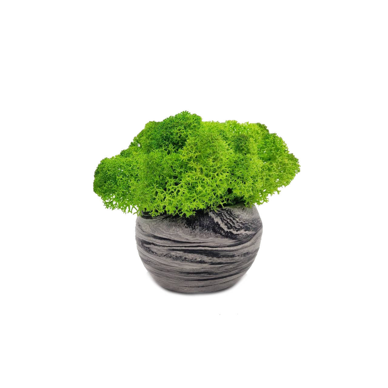 

Бетонный горшок Сфера с мхом Черный мрамор