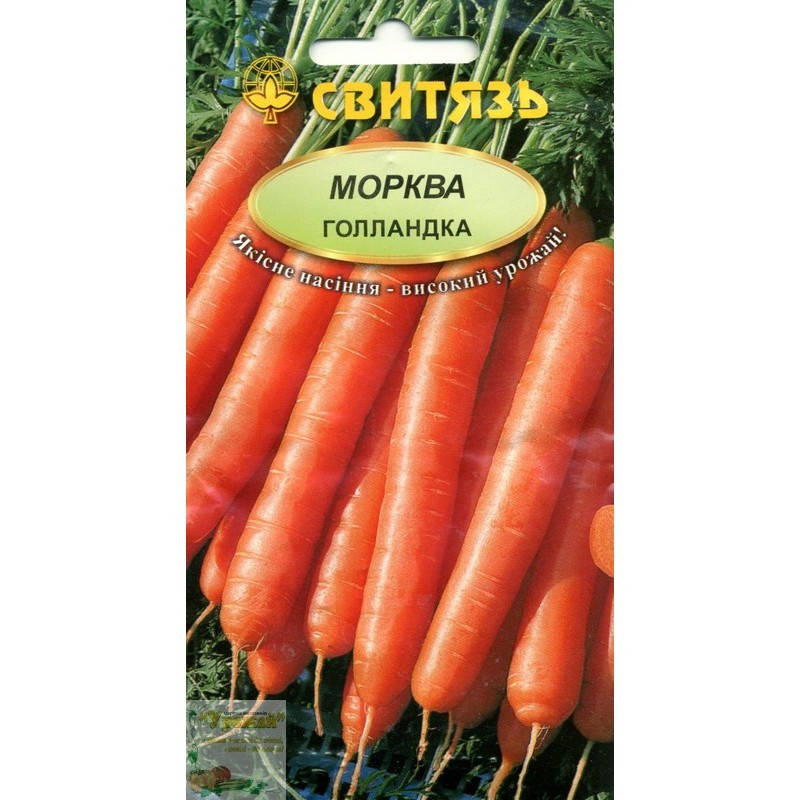 

Семена морковь столовая Голландка, 5 г