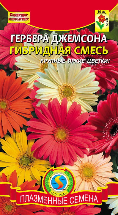 

Насіння квітів Гербера Джемсона гібридна суміш 10 шт суміш (Плазмові насіння)