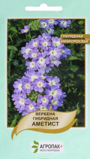 

Вербена Аметист низькоросла (0.1г)