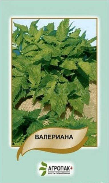 

Валериана - 0,1 грамм А, Розовый