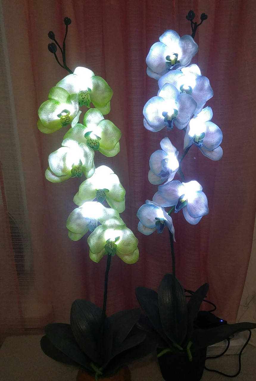 

Оригинальный светильник Орхидея с тонировкой Ночник, Голубой