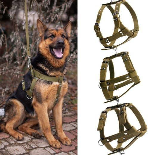 

Шлея Эконом двойная 45 мм