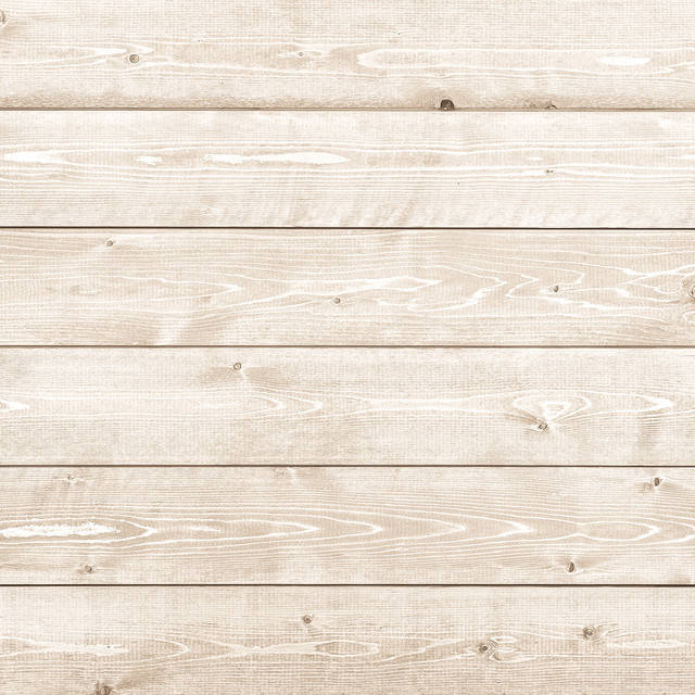 

Виниловый фотофон 100x100см, Frontlit 450 г/м2 №55150