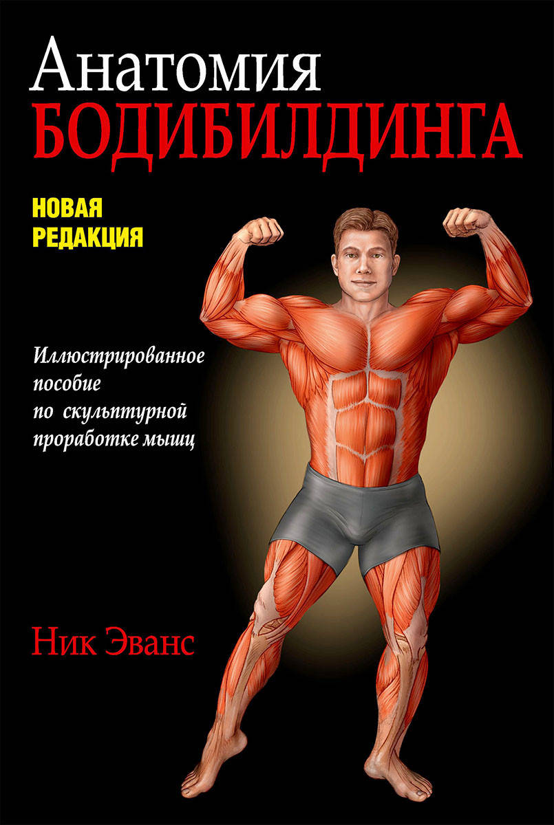 

Анатомия бодибилдинга