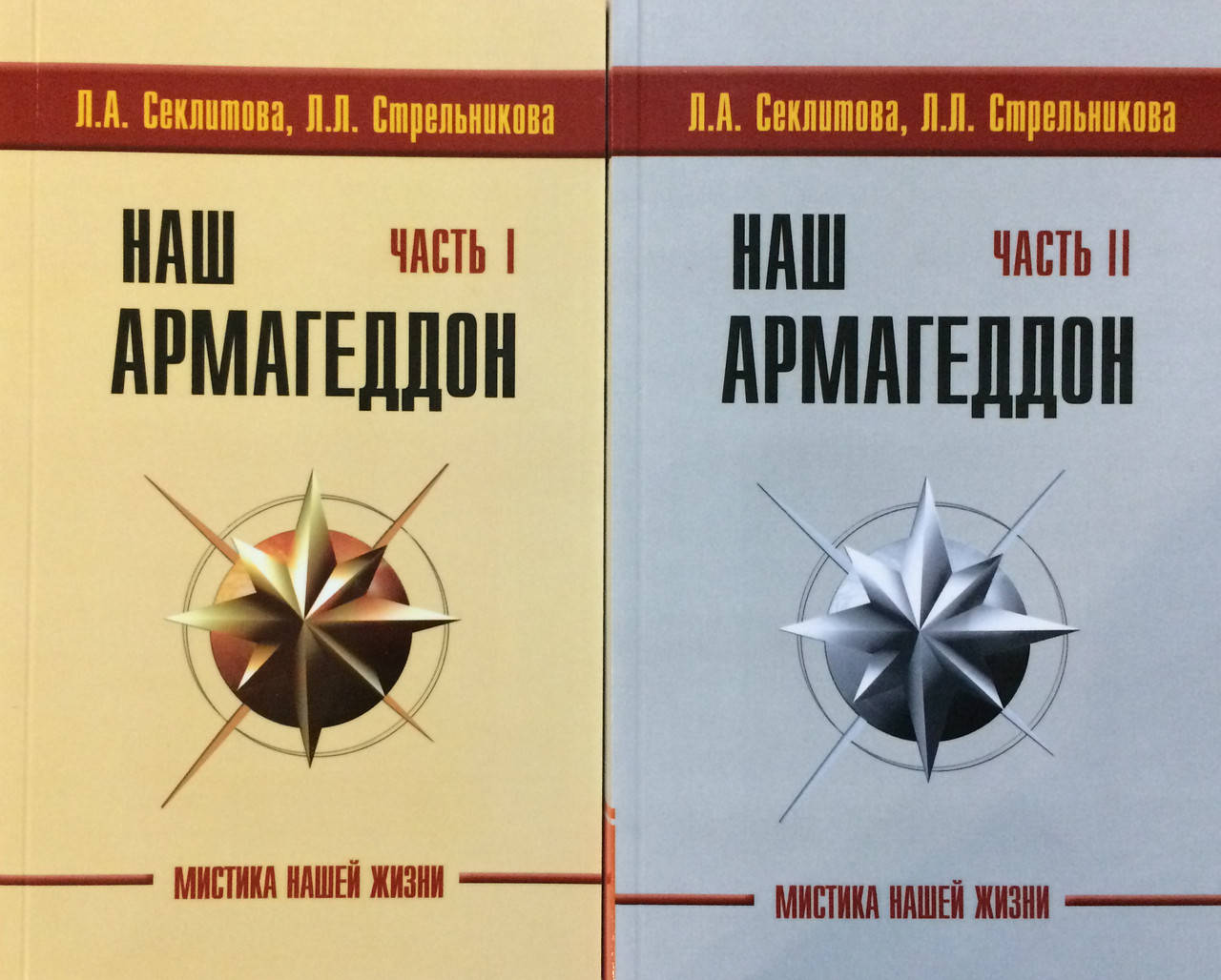 

Наш Армагеддон (в 2-х частях). Секлитова Л., Стрельникова Л.