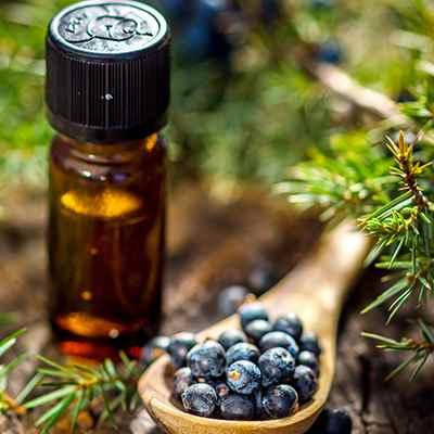 

Эфирное масло Можжевельника, 10 мл.