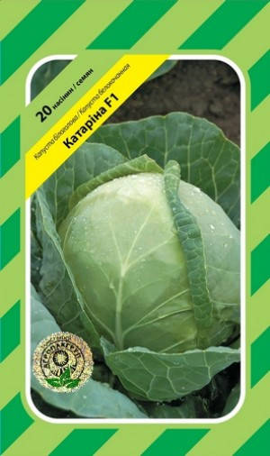

Семена Капуста б/к ранняя Катарина F1 20 сем Bejo Zaden 2036