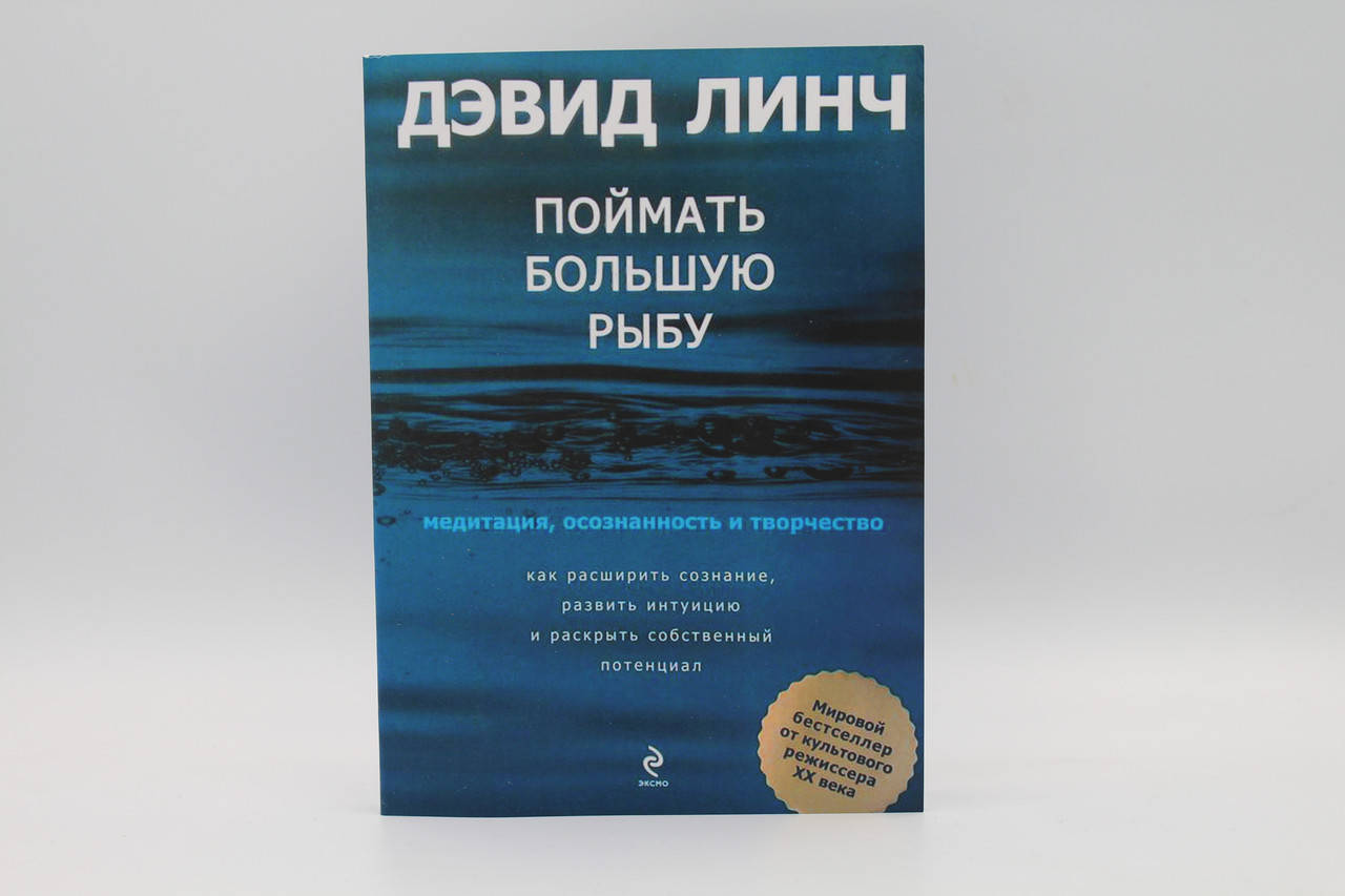

Линч Д. "Поймать большую рыбу. Медитация, осознанность, творчество"