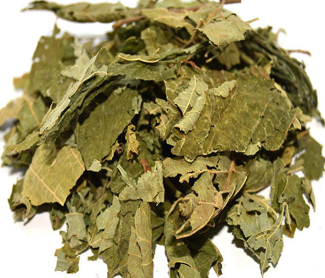 

Лещина обыкновенная (орешник) лист 1 кг