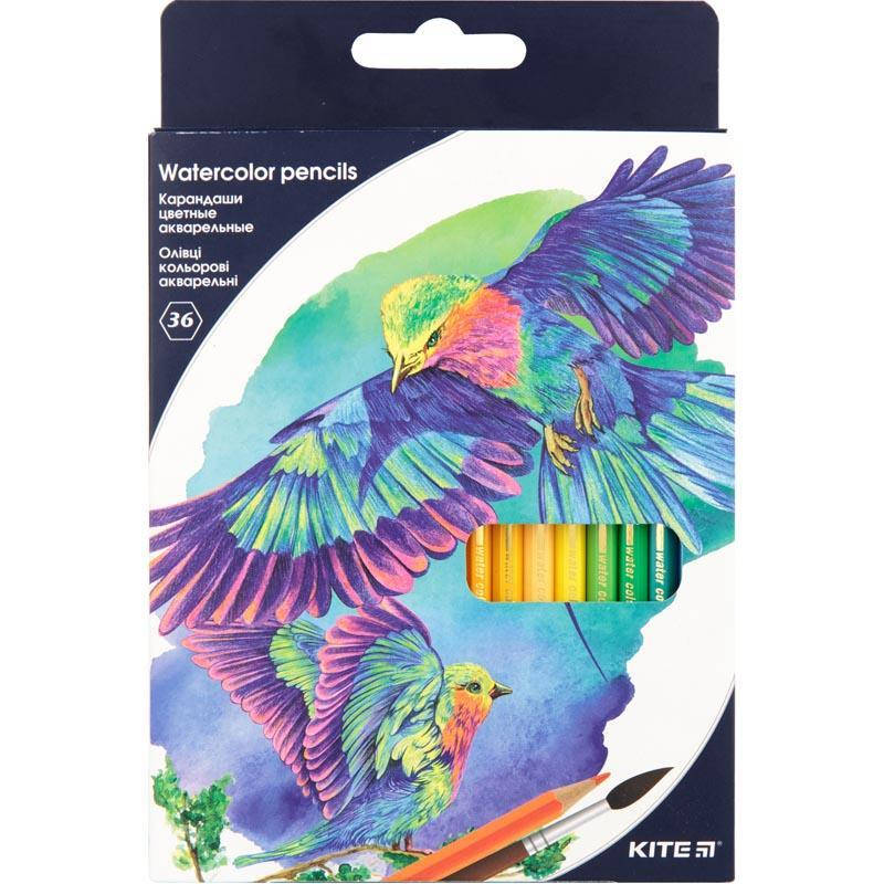 

ОЛІВЦІ АКВАРЕЛЬНІ 36 КОЛ. KITE Птахи K18-1052