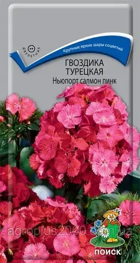 

Семена Гвоздика турецкая Ньюпорт Салмон Пинк 0,5 грамма Поиск, Розовый