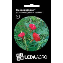 

Семена Ипомея Квамоклит Огненный Кардинал 0,5 грамма Hem Zaden LedaAgro, Красный