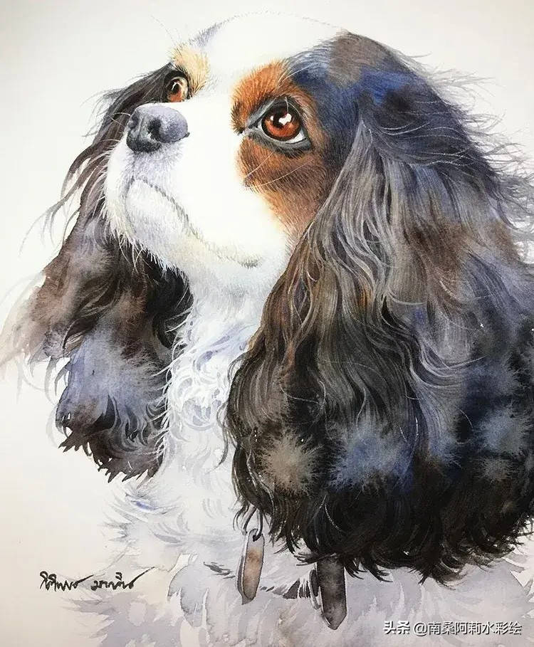 

Алмазная мозаика "Кинг Чарльз спаниель", на подрамнике 30*40см, в кор. 41*31*2,5см