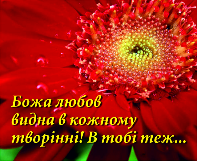 

Міні-листівка: Божа любов видна в кожному творінні! В тобі теж... # 129