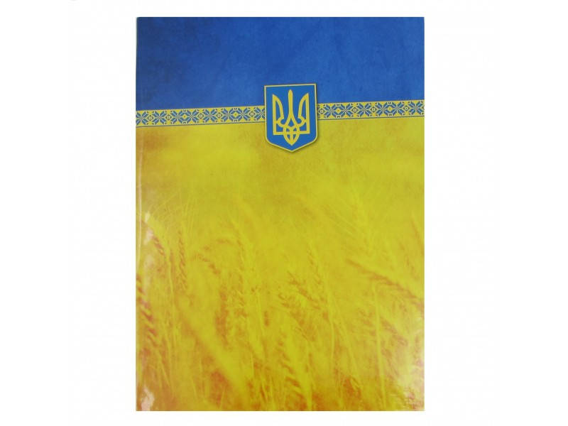 

Папка на підпис Economix жовто-блакитна E30901-05