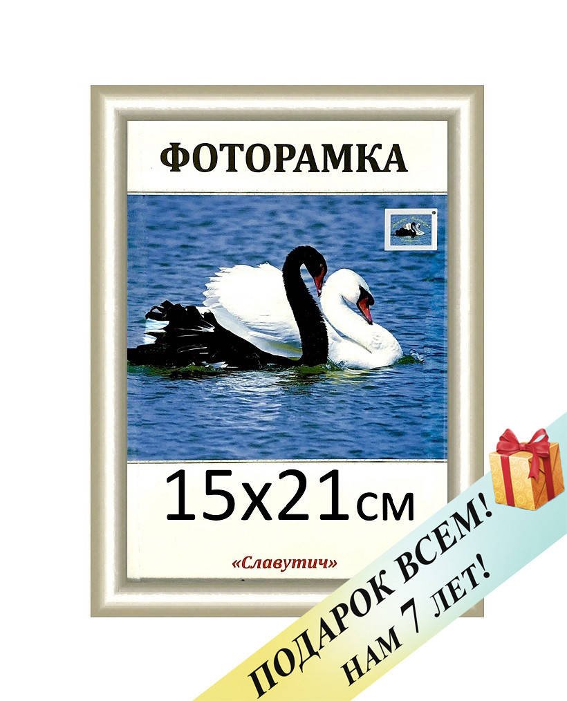 

Фоторамка пластиковая А5 15х21, светло-серая. Рамка для фото дипломов сертификатов грамот. Код 1411-2, Светло-серый