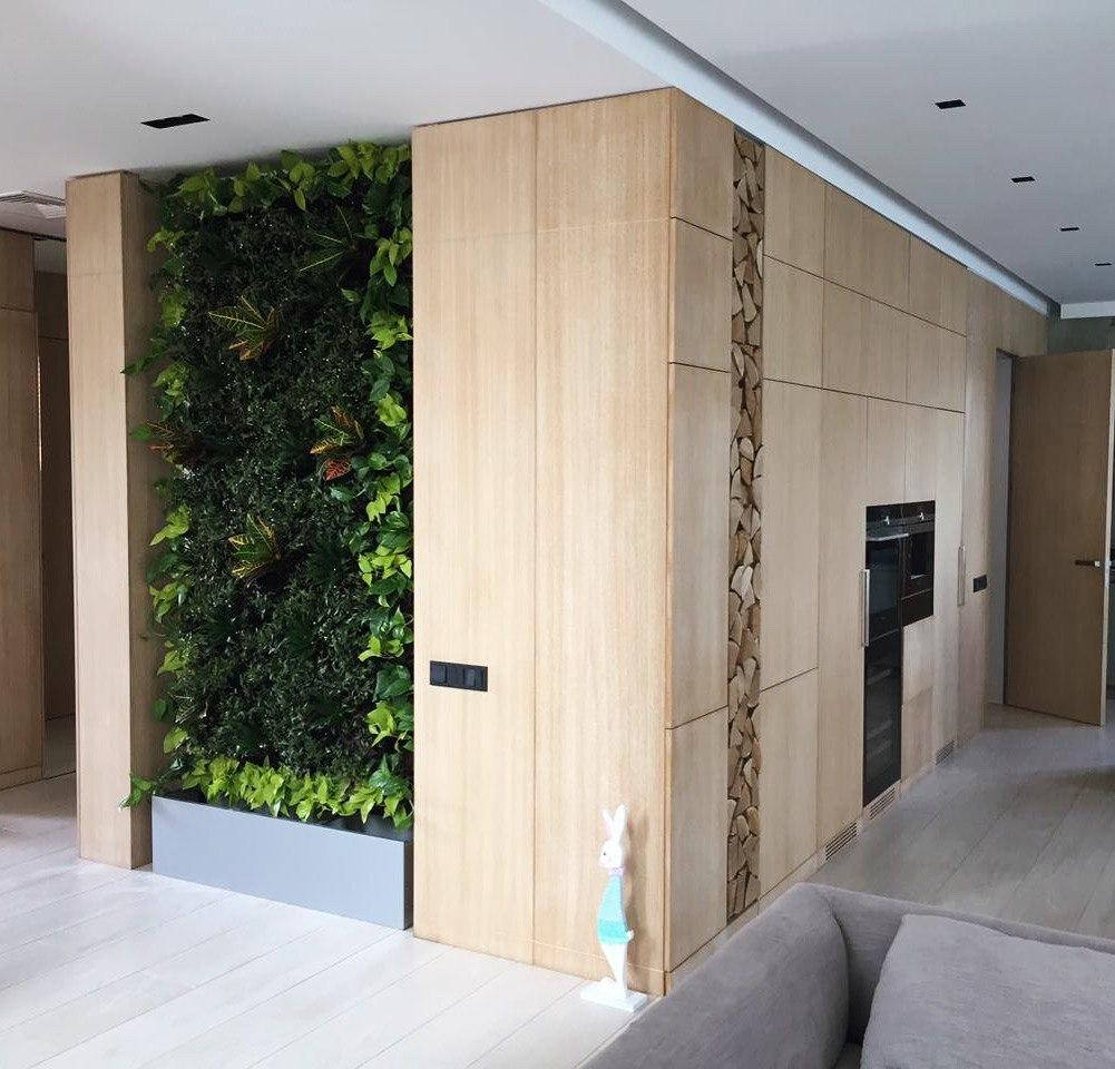 

Фитостена из живых растений 1м х 2м. Вертикальное озеленение для дома.