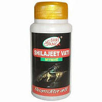 

Шиладжит / Shilajit, 50gm - 150 tab