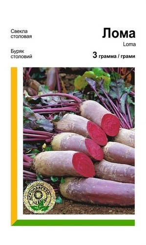 

Семена свекла Лома Rijk Zwaan Голландия