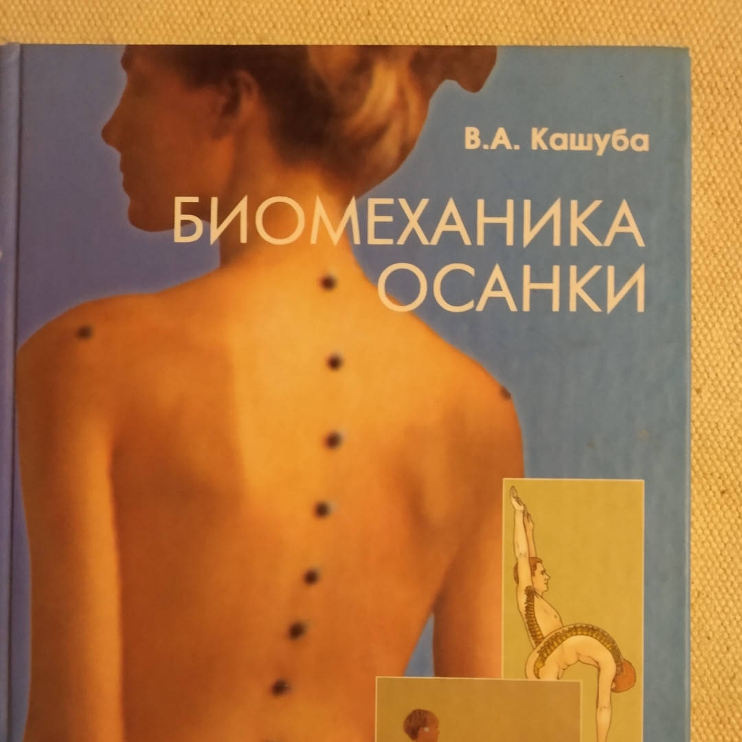 

Биомеханика осанки Кашуба В.А.