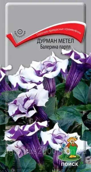 

Семена Дурман (датура) махровый Метел Балерина Парпл 3 сем Поиск, Светло-фиолетовый