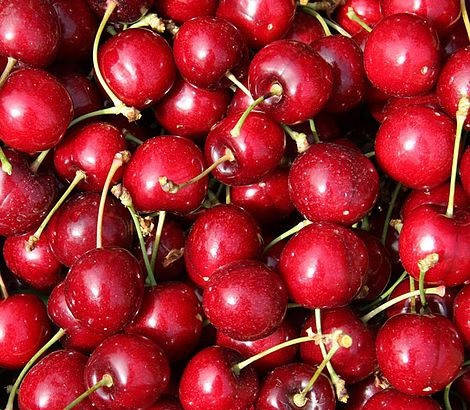 

Саженцы Черешни Свитхарт ('Sweetheart')