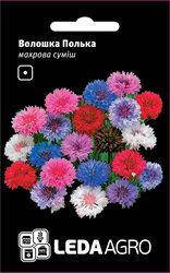 

Семена Василек Полька 0,5г LEDAAGRO