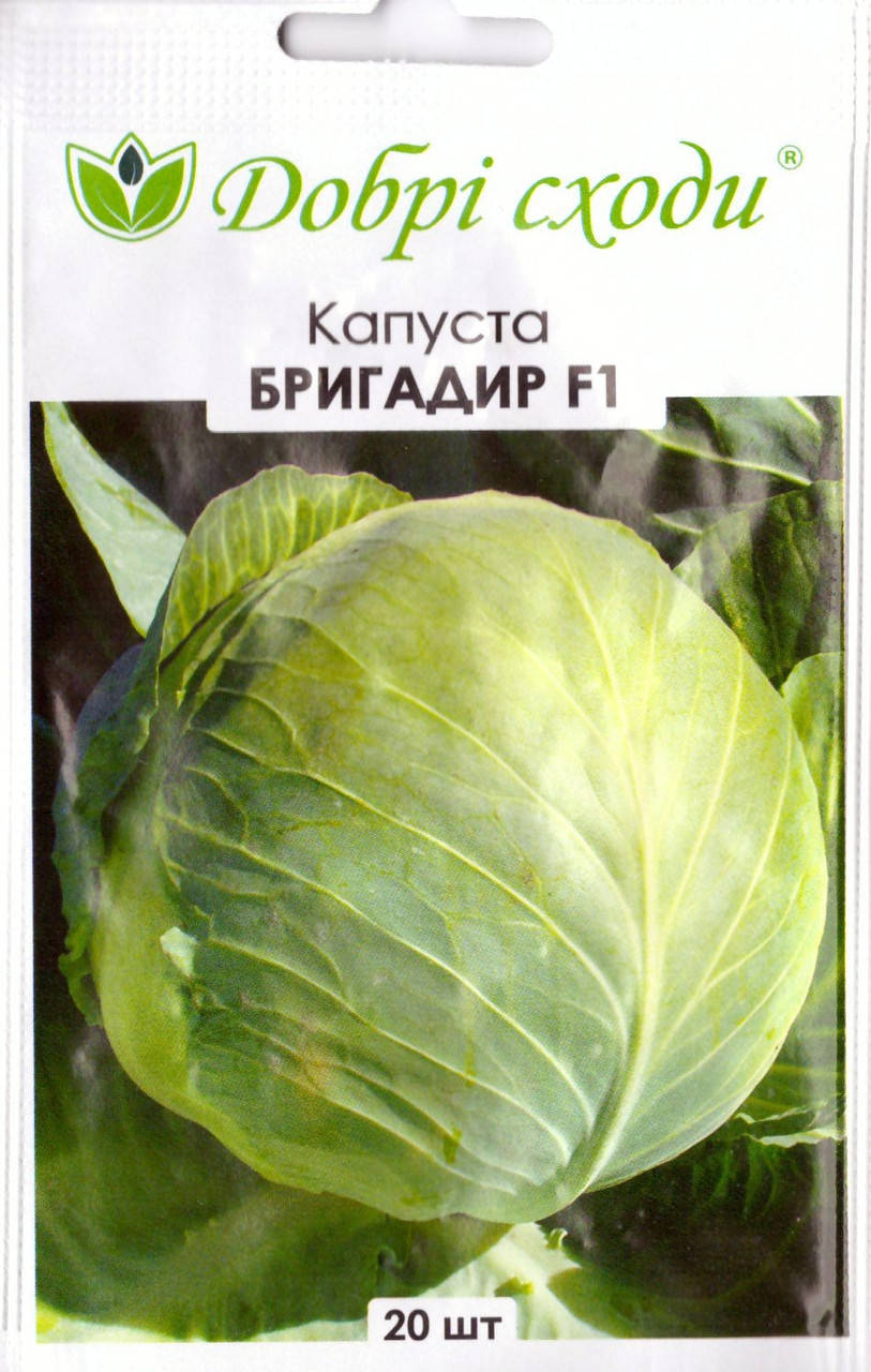 

Семена капусты Бригадир F1 100шт ТМ ДОБРІ СХОДИ