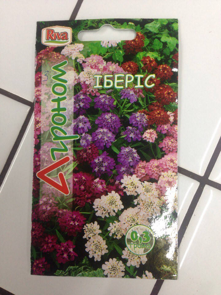 

Семена Иберис. 0.3 гр
