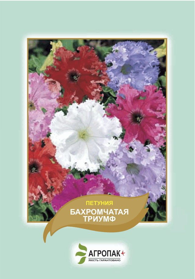 

Семена цветов петуния Бахромчатая Триумф Агропак плюс, Разные цвета