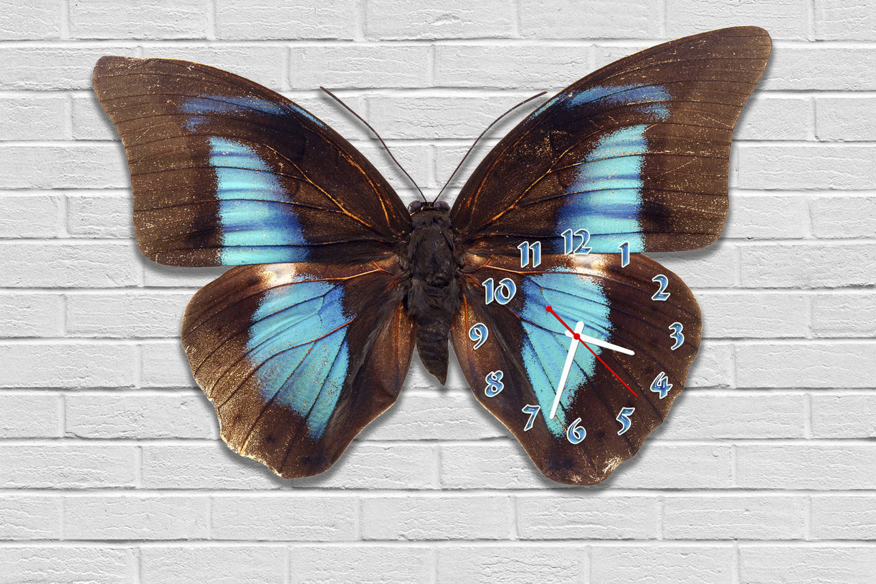 

Авторские 3Д часы настенные фигурные Erpol Коричневая с голубым бабочка 30x45 см