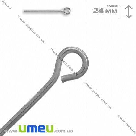 

Булавки, Темное серебро, 2,4 см, 0,7 мм, 50 шт (PIN-002027)