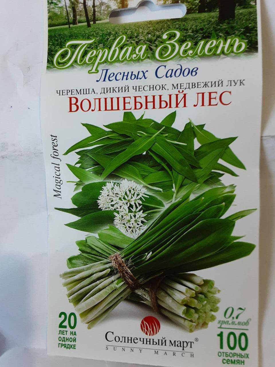 

Черемша, дикий чеснок, медвежий лук.