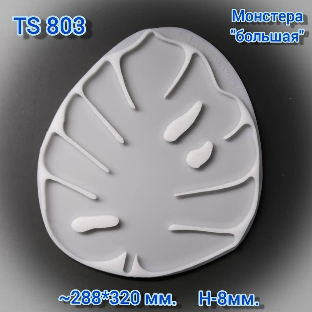 

Молд TS 803 " Поднос "