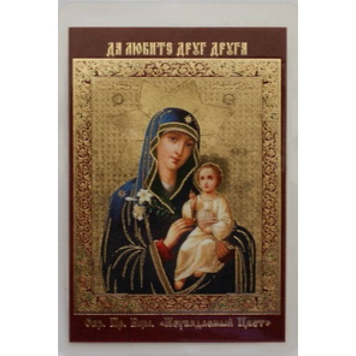 

НЕУВЯДАЕМЫЙ ЦВЕТ икона ламин 6*9 455