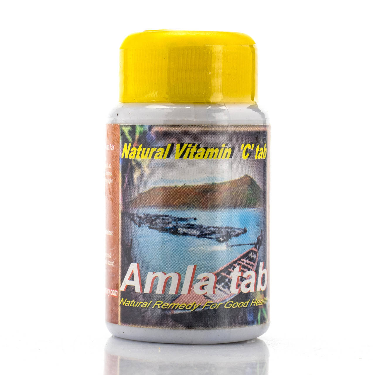 

Амла, Шри Ганга / Amla, Shri Ganga / 100 tab