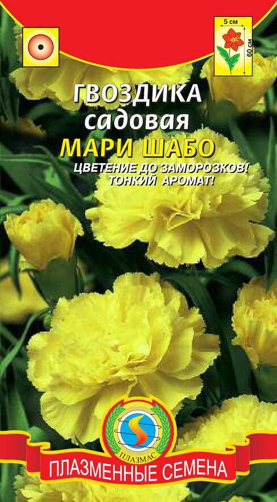 

Насіння квітів Гвоздика садова Марі Шабо 0,1 г жовті (Плазмові насіння)