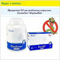 

ElmiGone (120) ЭльмиГан: глисты, лямблии, аскариды, таблетки от глистов Santegra