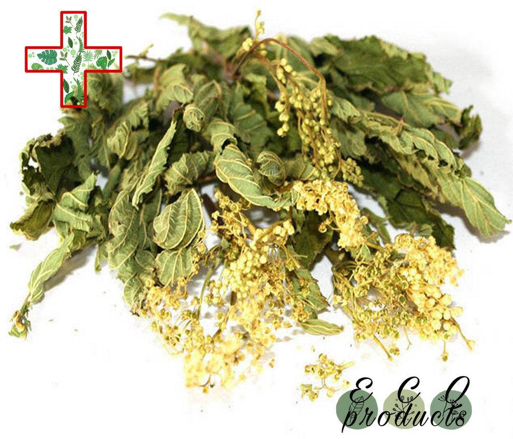 Таволга Вязолистная Лечебные Свойства Цена И Применение