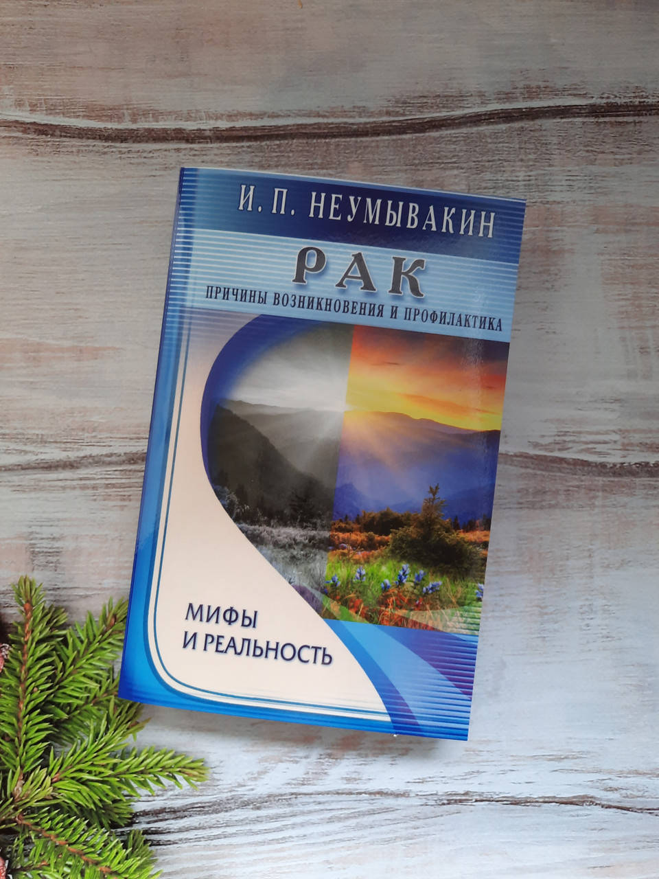 

Неумывакин Рак. Причины возникновения и профилактика. Мифы и реальность