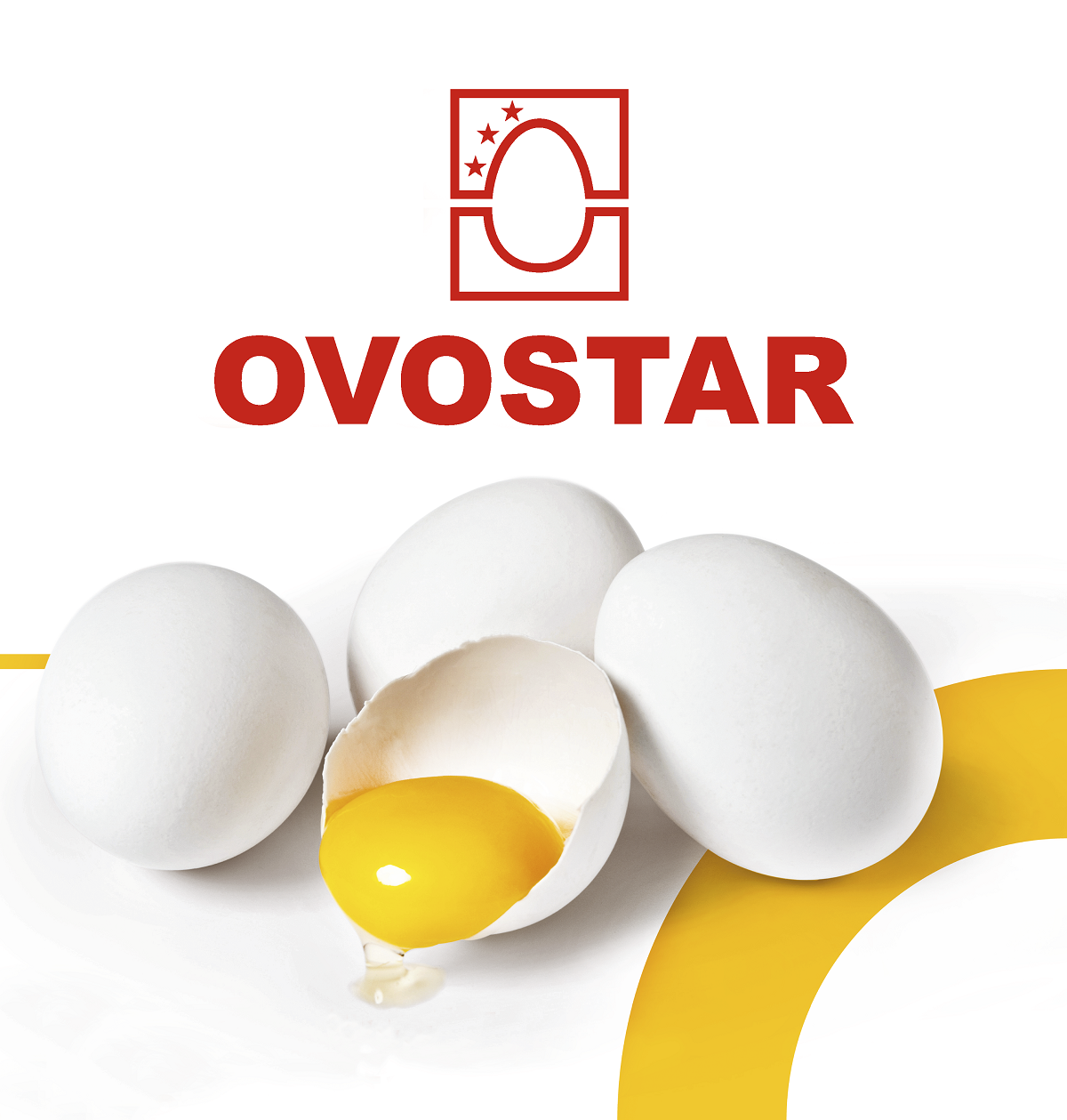 

Яичный порошок высококачественный Овостар, 0,5кг