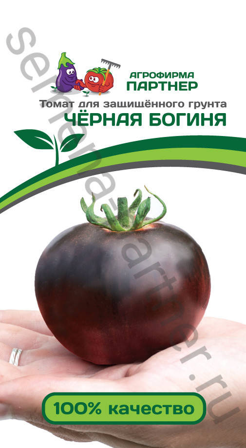 

Томат Черная богиня ( Партнер) 10 шт