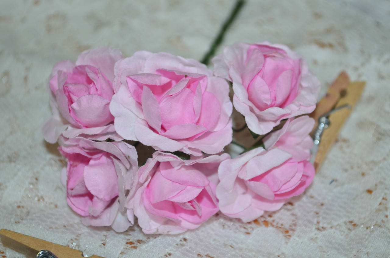 

Букет розы (цена за букет из 6 шт). Цвет - нежно розовый