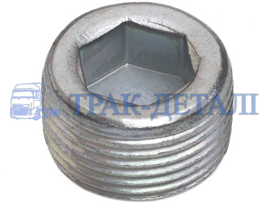 

1/43253/01 Пробка кришки башмака