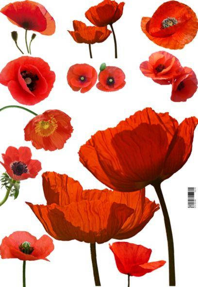 

СНЯТА С ПРОДАЖИ Декупажная карта(лазерн.печать)29,5х42 "Маки"