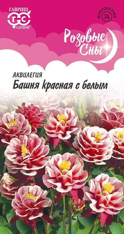 

Аквилегия Башня красная с белым, Черный
