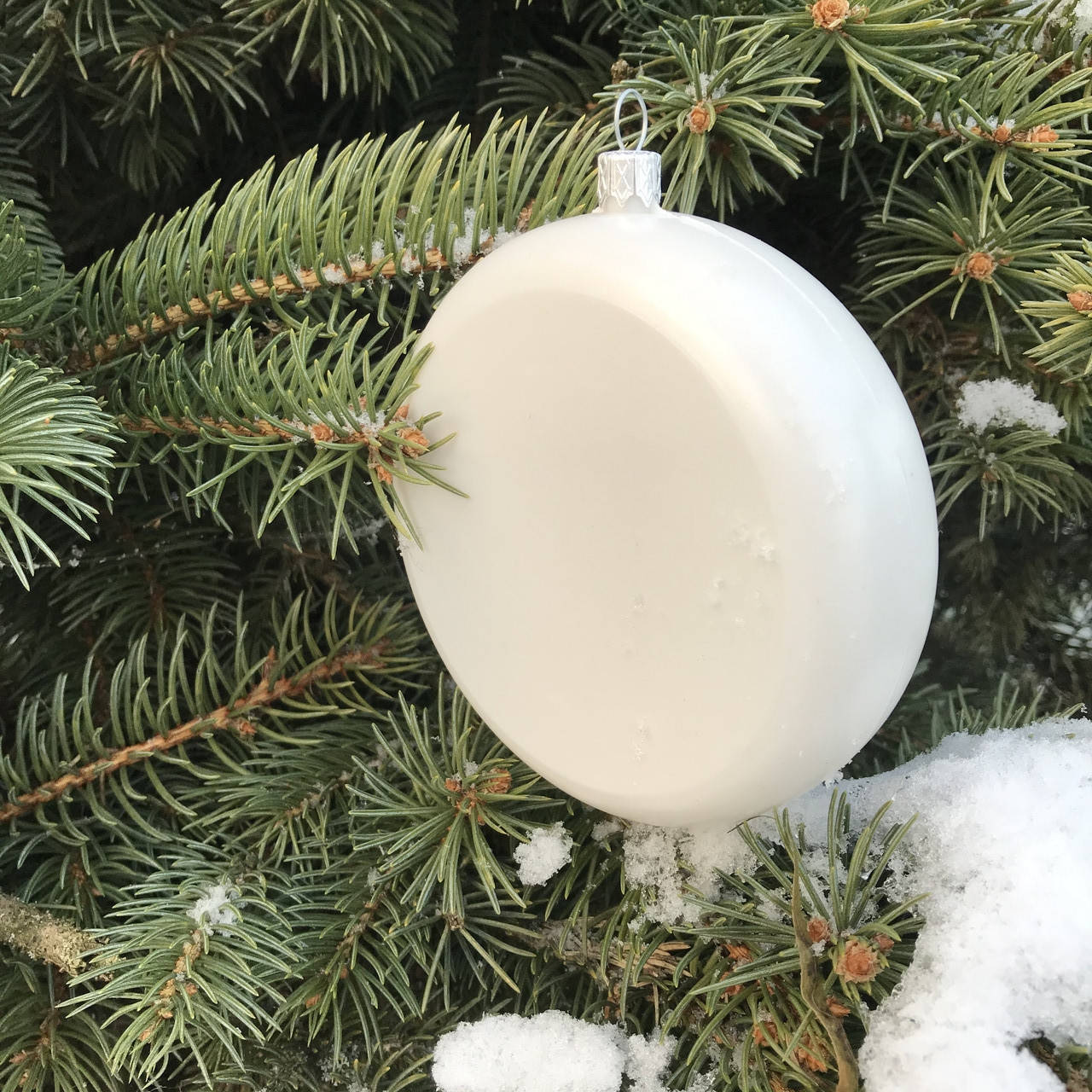 

Пластиковая заготовка медальйон d100 мм